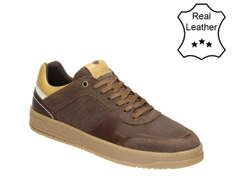 7CI0020101 3536 7CI0020101 3536