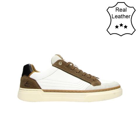 7LT0020109 1131 White-Brown